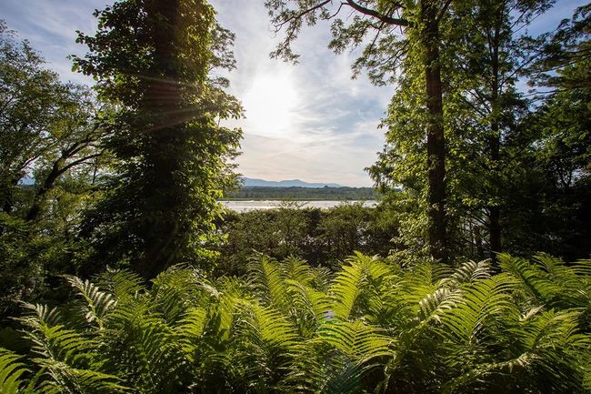 View of the Hudson | Image 25