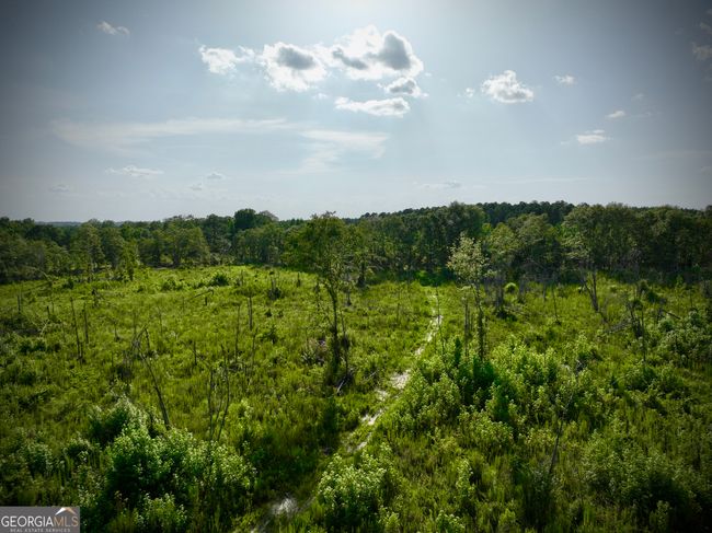 1305 Bennett Colter Rd, Home with 0 bedrooms, 0 bathrooms and null parking in Cadwell GA | Image 50