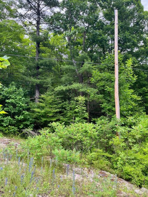 0 (PIN - 40264-0091) Potter Settlement Road, Tweed, ON, K0K3J0 | Card Image