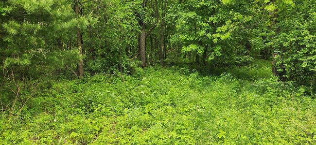 22 AC Southern Road, Home with 0 bedrooms, 0 bathrooms and null parking in Lyndon WI | Image 4