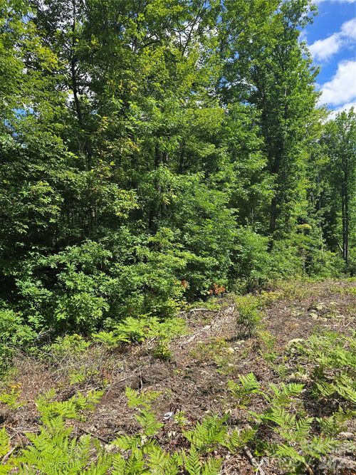 0000 Nancy Mountain Rd, Rosman, NC, 28772 | Card Image