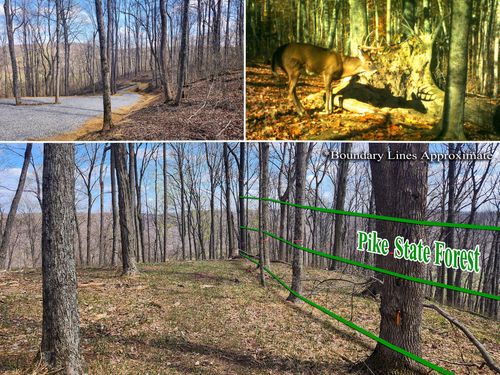 tract-4-pike-lake-getawa-0 Pike Lake Rd, Bainbridge, OH, 45612 | Card Image