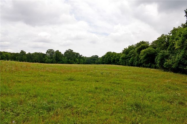 View of woods with a rural view | Image 28