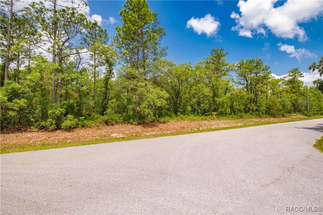 16240 Mount Sparrow Rd, Home with 0 bedrooms, 0 bathrooms and null parking in Weeki Wachee FL | Image 4
