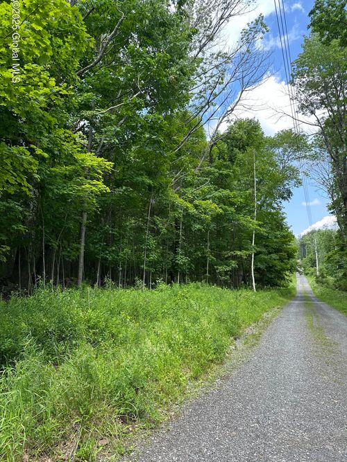 11 C Buel Rd, Gilboa, NY, 12076 | Card Image