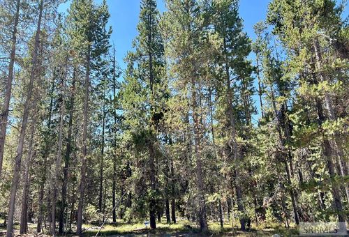 4385 Sasquatch Dr, Island Park, ID, 83429 | Card Image