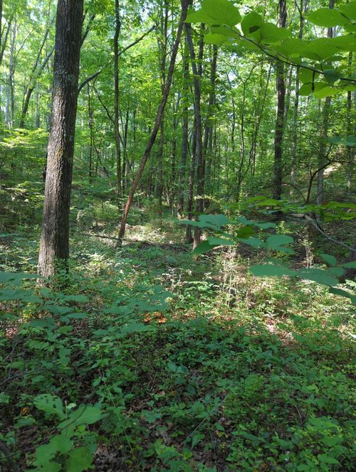 1346 Elliot Rd, Nunnelly, TN, 37137-3714 | Card Image