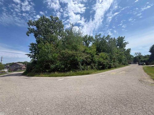 V/L N Heron Drive, Elba Township, MI, 48446 | Card Image