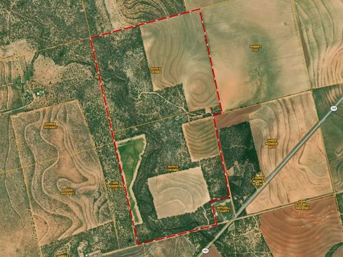 7000 County Road 335, Colorado City, TX, 79512 | Card Image