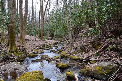 Lot N Speckled Feather Pass, Sapphire, NC, 28774 | Card Image