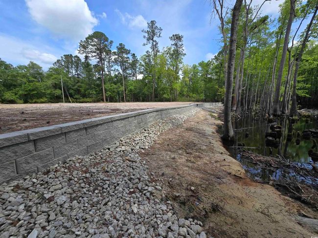 View of road with a forest view | Image 12