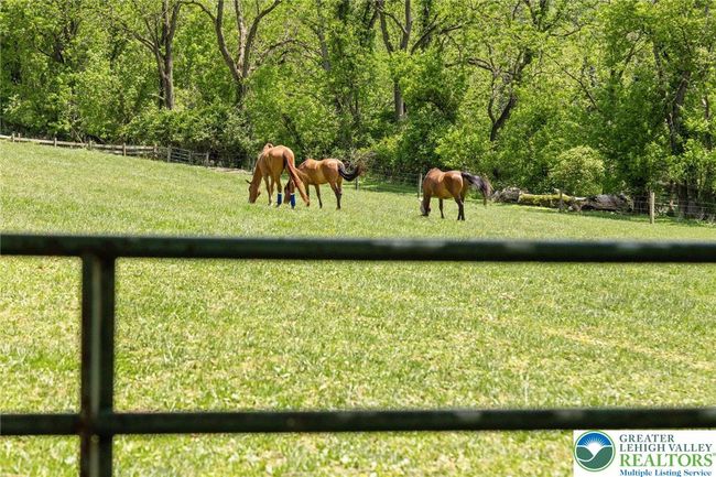 2965 Adams Way, House other with 4 bedrooms, 5 bathrooms and null parking in RIEGELSVILLE PA | Image 76