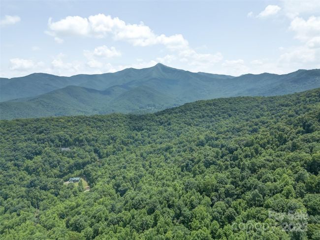 000 White Rock Branch Rd, Home with 0 bedrooms, 0 bathrooms and null parking in Candler NC | Image 23