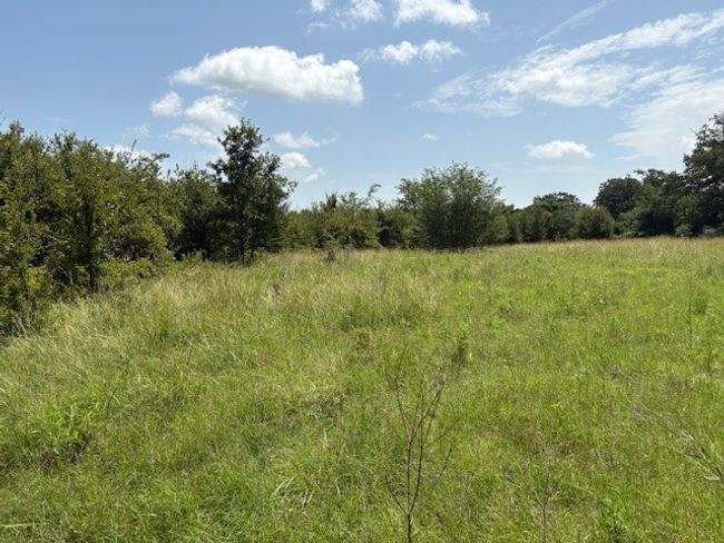 View of undeveloped land | Image 4