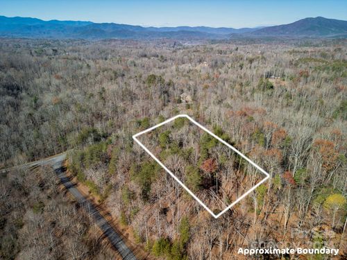 60-0 Forest Country Dr, Marion, NC, 28752 | Card Image