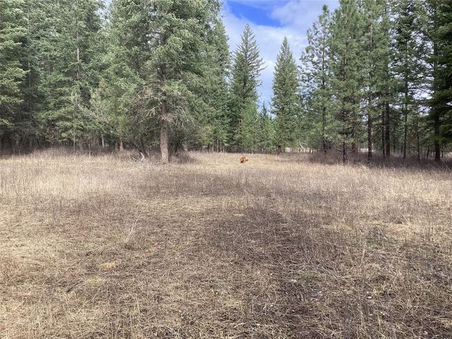 1 Eagle Pass Road, Home with 0 bedrooms, 0 bathrooms and null parking in Charlo MT | Image 36