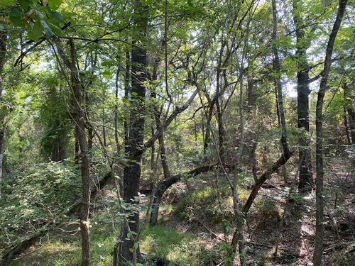 TR 3-B County Road 41514, Athens, TX, 75751 | Card Image