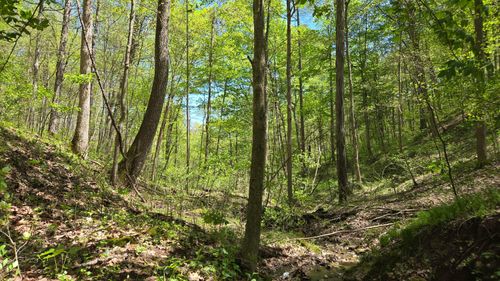 0 Upper Douda Rd, Malta, OH, 43758 | Card Image