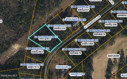 60 N Shamrock Dr, Jackson Springs, NC, 27281-9706 | Card Image