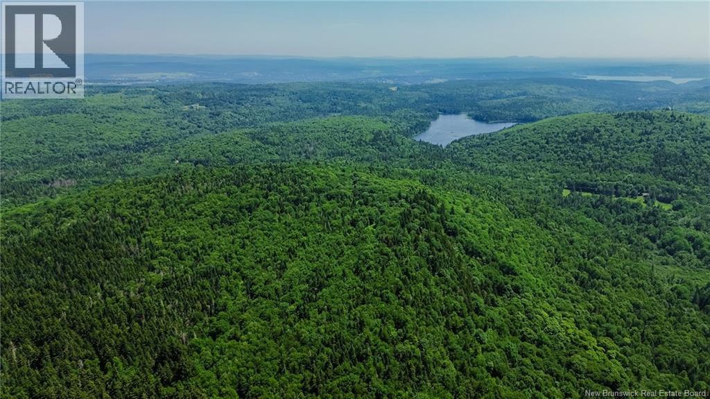 Land in Kingston 2