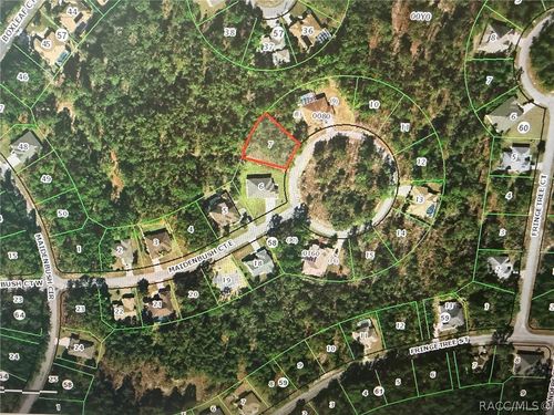14 Maidenbush Court E, HOMOSASSA, FL, 34446 | Card Image