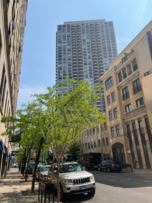 31c-2020 Lincoln Park, Chicago, IL, 60614-4732 | Card Image