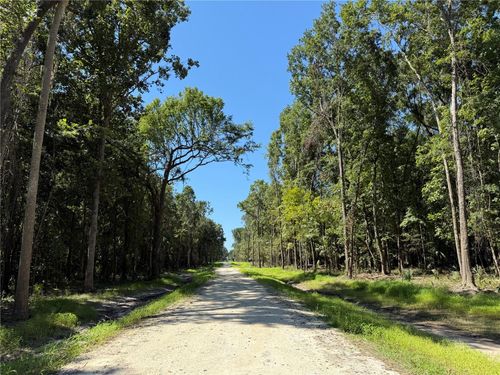 DR #7 (10ac) Nw 193rd St, MICANOPY, FL, 32667 | Card Image