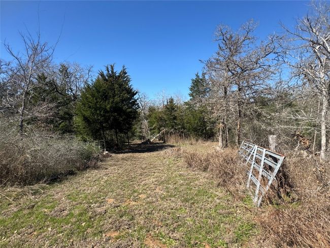 View of yard | Image 12