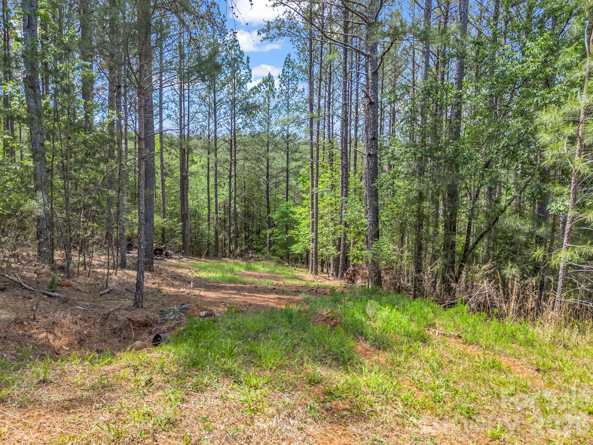 Land in Mooresboro