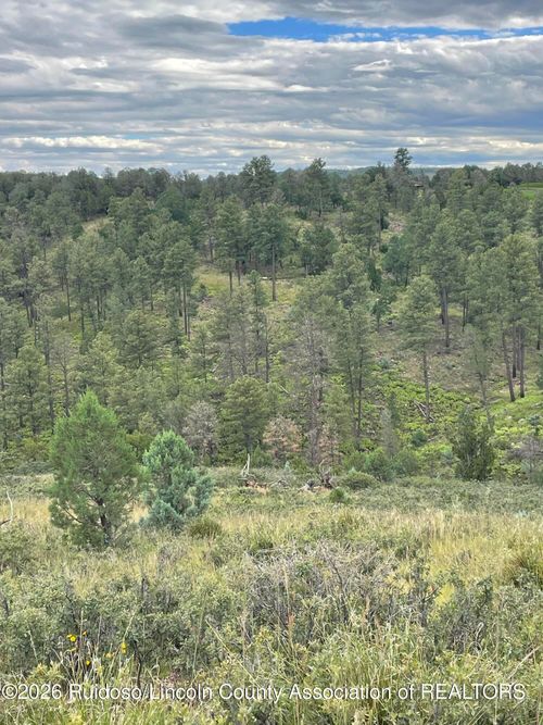 2-19B Lincoln Hills Dr, Alto, NM, 88312 | Card Image