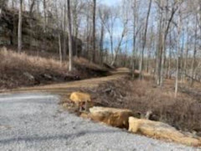 Lot 24 Stargazer Ln, Home with 0 bedrooms, 0 bathrooms and null parking in Falls of Rough KY | Image 10