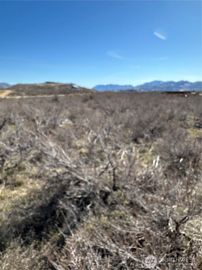 81 W Chewuch Rd, Home with 0 bedrooms, 0 bathrooms and null parking in Winthrop WA | Image 21