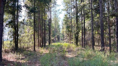 LOT 74 Posie Forest Rd, Milton, FL, 32570 | Card Image