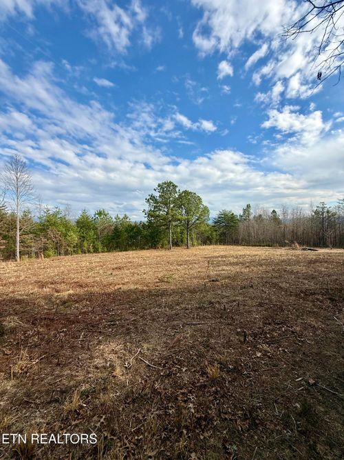 Lots 8 & 9 Curtis Rd, Tellico Plains, TN, 37385 | Card Image