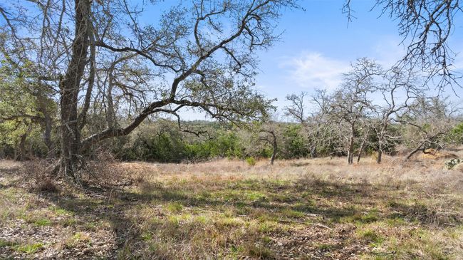 View of nature | Image 7