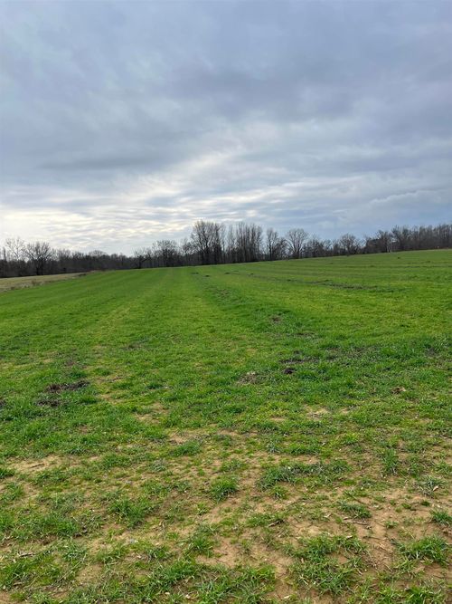 01 Scholes Ln, Stanton, TN, 38069 | Card Image