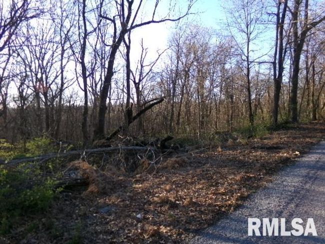 2225 Route 34, House other with 4 bedrooms, 2 bathrooms and null parking in Rosiclare IL | Image 51