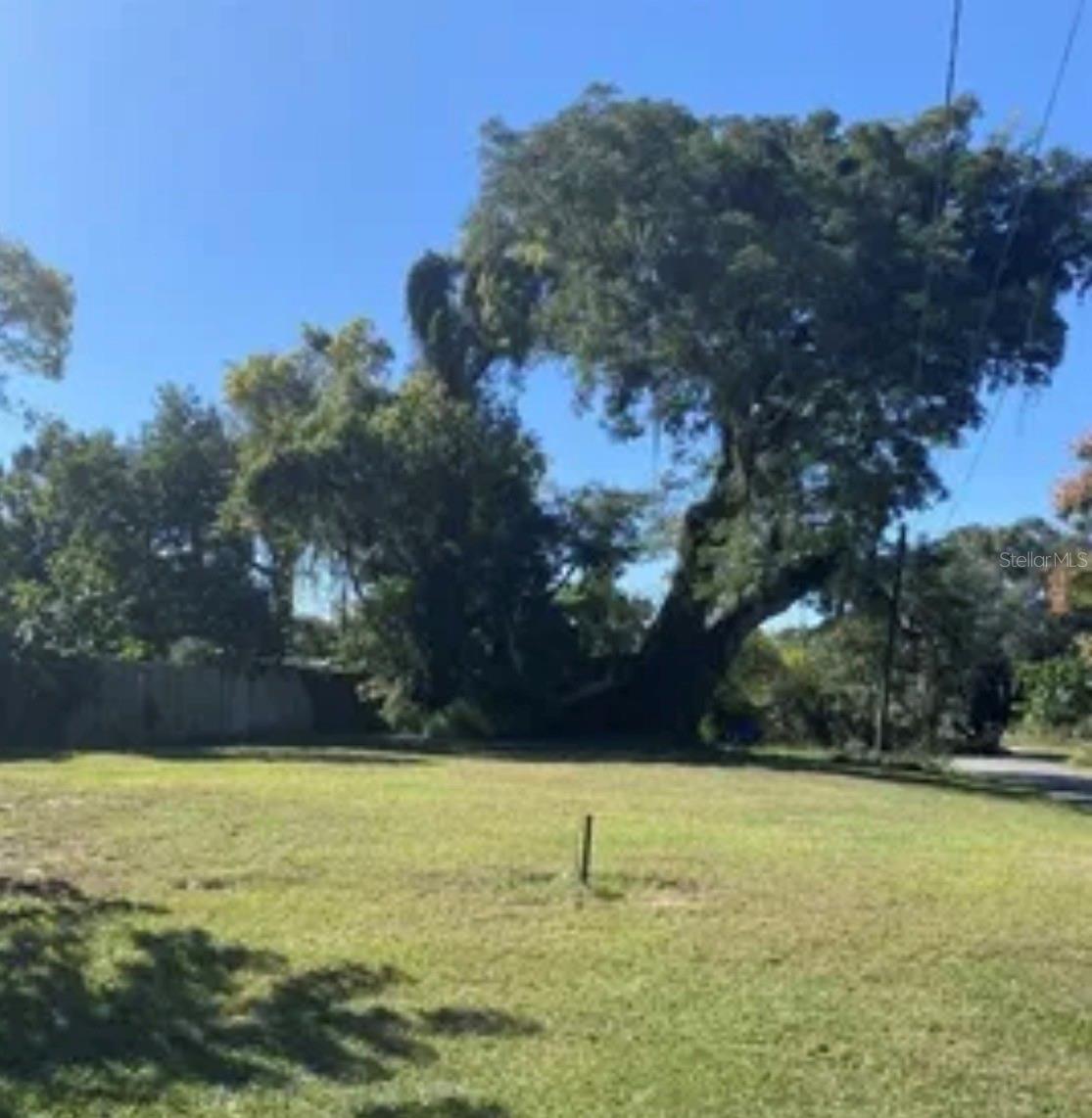 Land in APOPKA