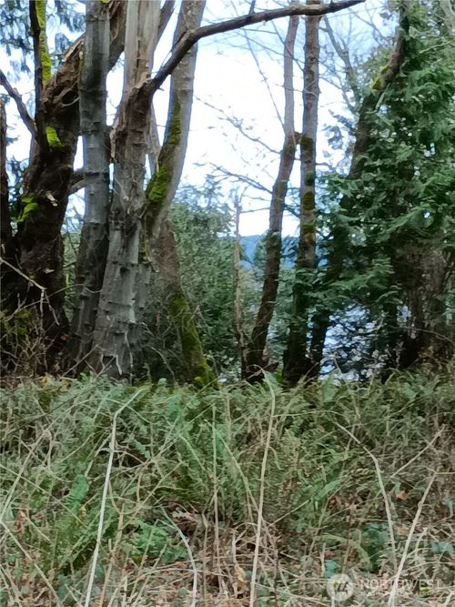 111 M Crest Place, Hat Island, WA, 98206 | Card Image