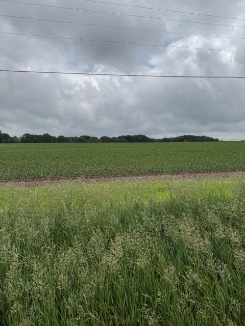 Land in Greenville 3