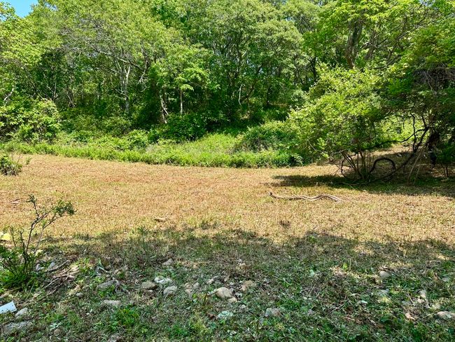 0 Jeffers Way, Home with 0 bedrooms, 0 bathrooms and null parking in Chilmark MA | Image 14