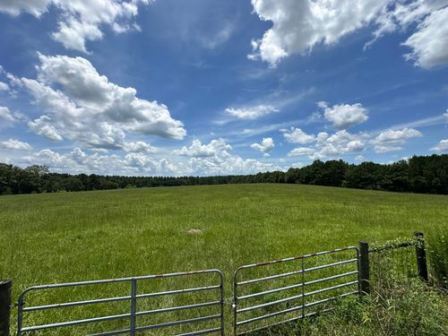 Parcel A Hub Presley Rd, Laurel Hill, FL, 32567 | Card Image