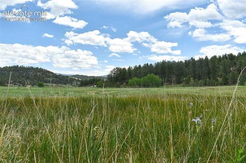 729 Valley Drive, Guffey, CO, 80820 | Card Image