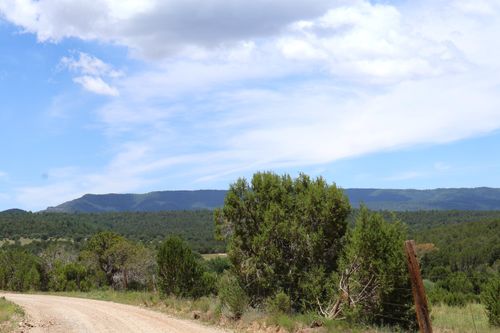 Lot 5 Sherwood Forest Dr, Torreon, NM, 87061-7049 | Card Image