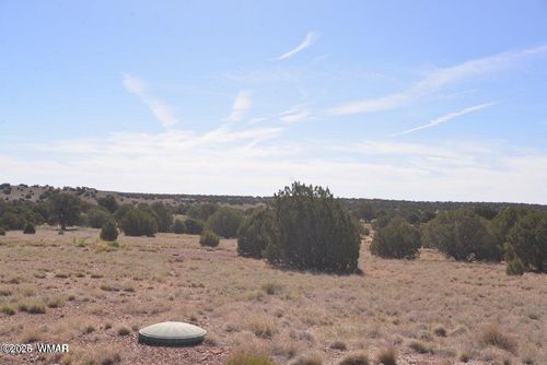 1 N9218 And 9234 Red River, Concho, AZ, 85924 | Card Image
