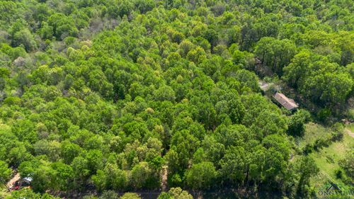 TBD Willow Point Marina Rd, Lone Star, TX, 75668 | Card Image