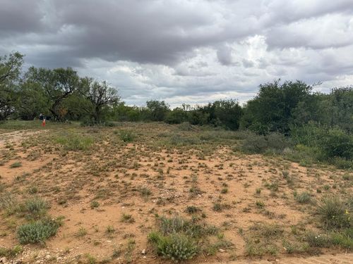 0000 Lcr 175, Colorado City, TX, 79512 | Card Image