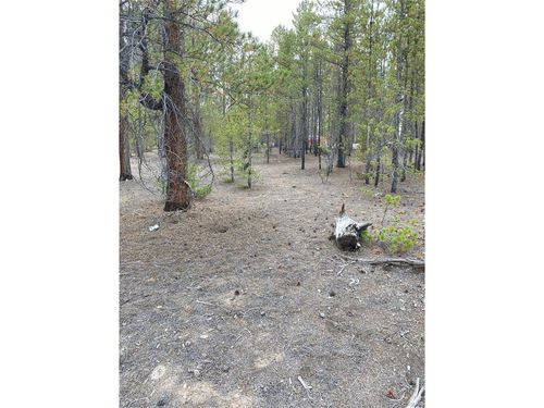 340 Peakview Dr, Twin Lakes, CO, 81251 | Card Image