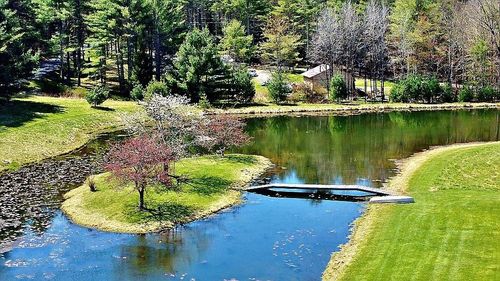 239 Mitchell Pond Rd E, Cochecton, NY, 12726-5329 | Card Image