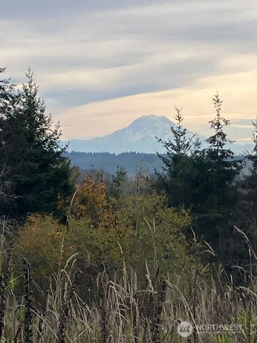 div-2-2 E Lone Fir Dr, Shelton, WA, 98584-1174 | Card Image